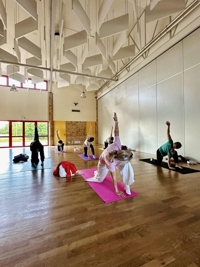 Cours de Hatha yoga à Saint-Brandan — élèves en posture à la salle polyvalente, Côtes-d'Armor